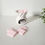 Miniature : Fleur de coton