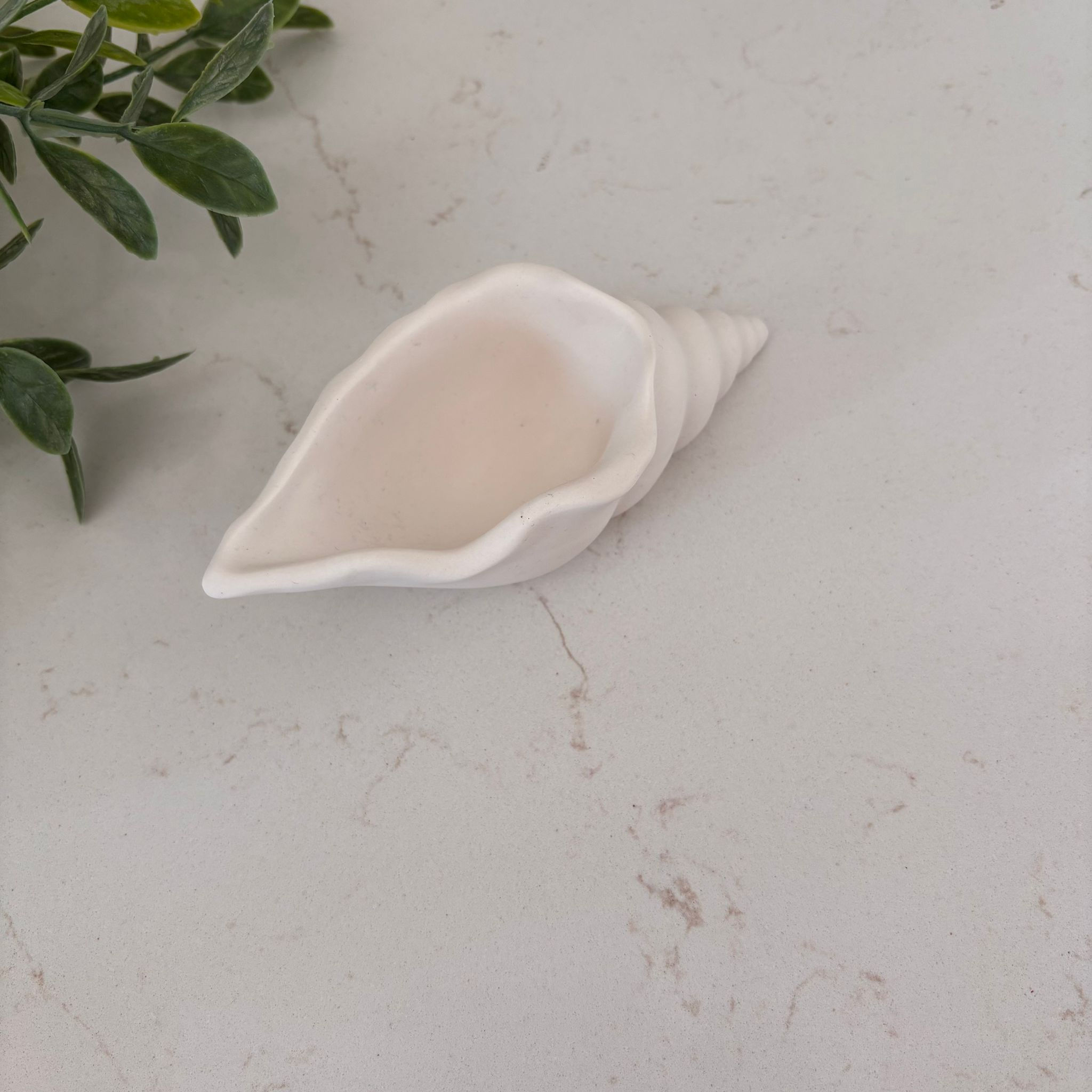 Le  coquillage Bébé Bermite en jesmonite