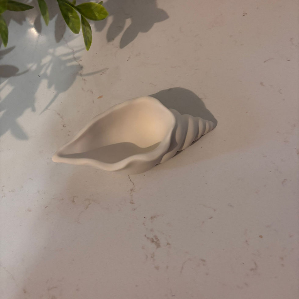 Le  coquillage Bébé Bermite en jesmonite