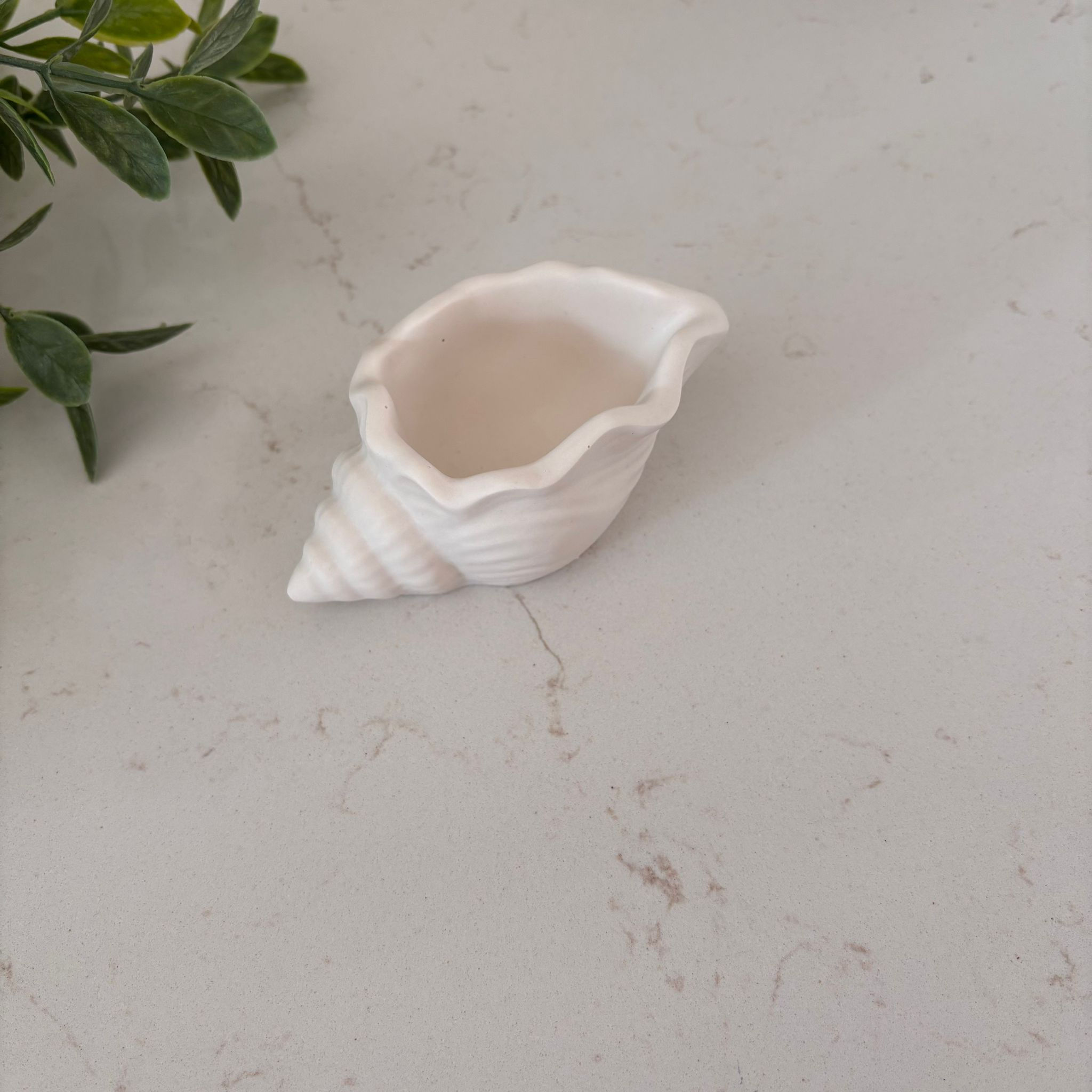 coquillage l'ermite en jesmonite