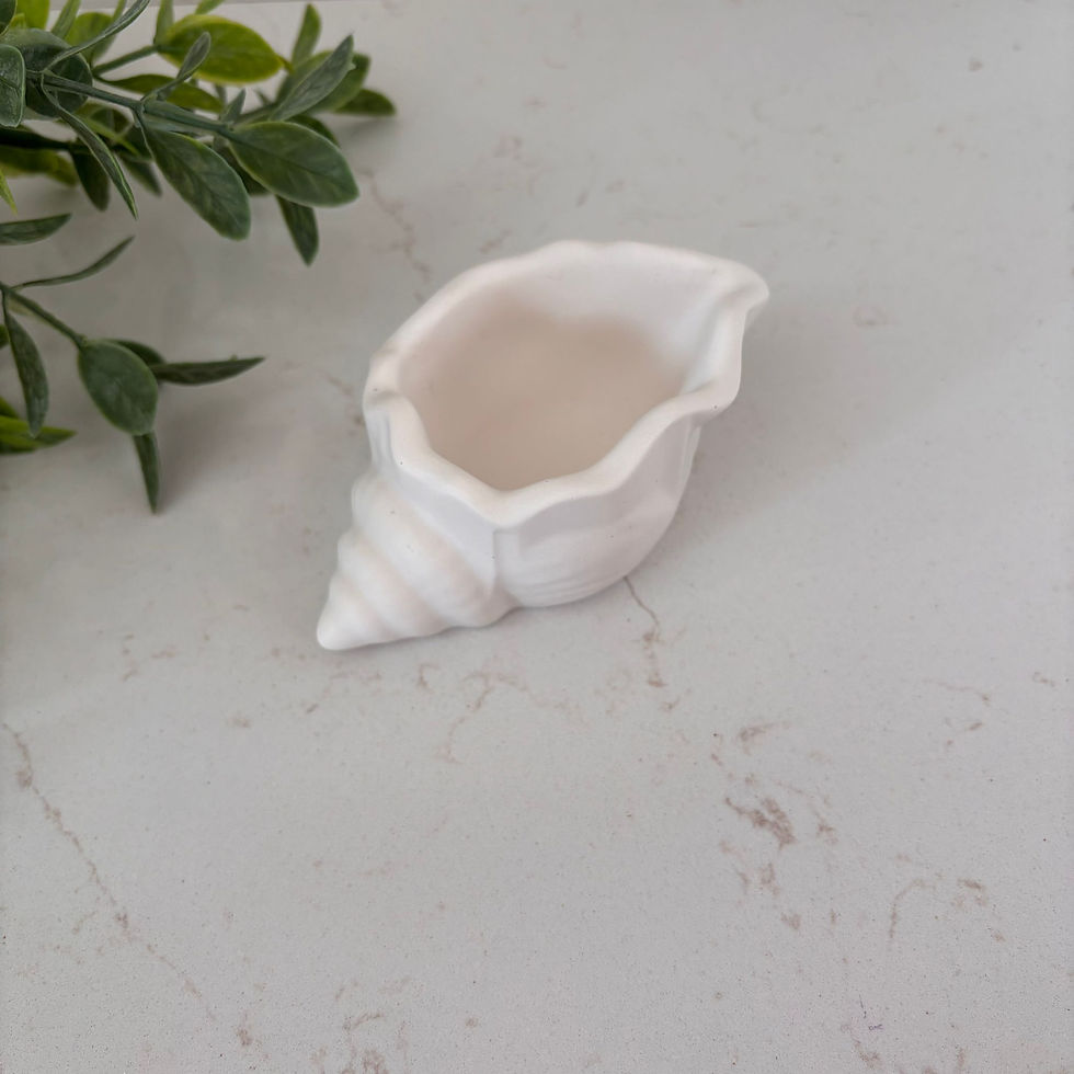 Coquillage Bernard en jesmonite