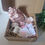 Miniature : Box Taille L