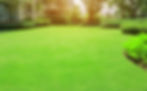 main lawn.jpeg
