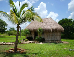 Villa maya _edited.jpg
