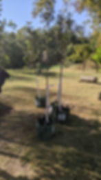 PXL_20241005_152053529.jpg