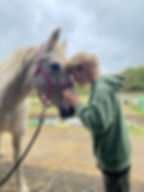 Therapeutic Horsemanship