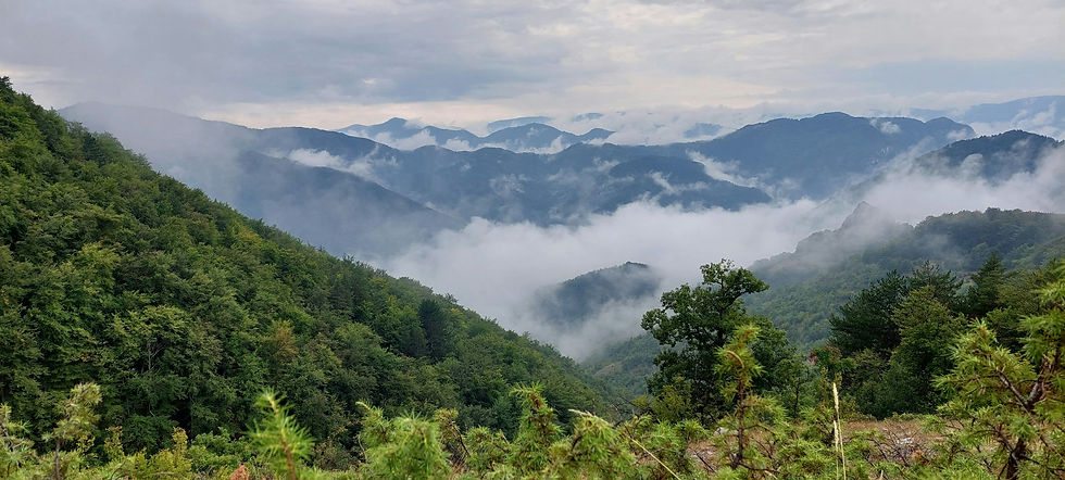 Rhodope Mountains.jpg