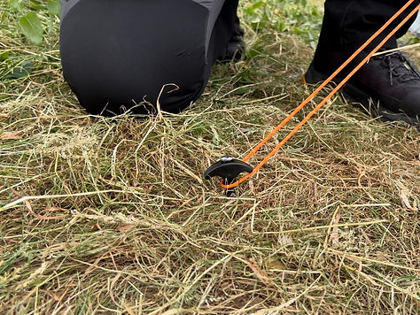 IMG_5216 2_edited.jpg