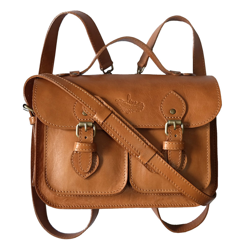 Miniatura: 3 em 1: Bolsa, Mochila e Pasta Satchel  V2 Pockets  Line Store Leather - Cores