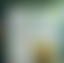 ABA August 2024 newsletter cover image