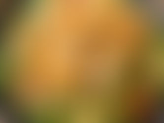 Crispy Fish Bean Curd Roll Salad