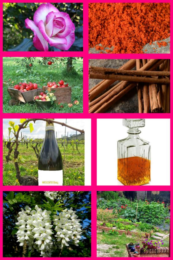 Collage prodotti 1