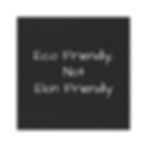 a black square magnet that says, "Eco Friendly, Not Elon Friendly"
