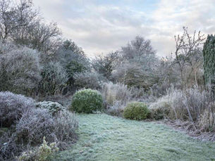 Uw tuin klaarmaken voor de winter