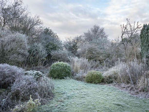 Uw tuin klaarmaken voor de winter
