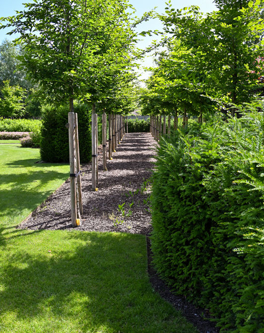 Vanhaverbeke 2023-70.jpg