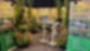 Groen Gekleurd - Koen Vanhaverbeke.jpg