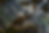 eagle-8743805_1920.png