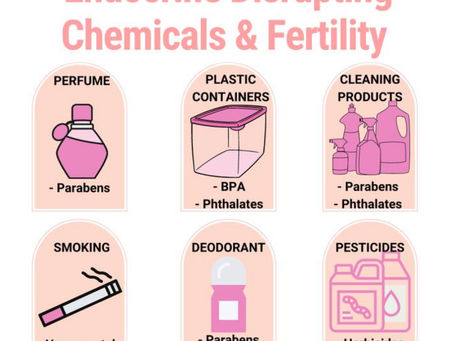 EDCs Effect On Fertility And Detoxing With Steam
