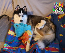 received_1071993614230288