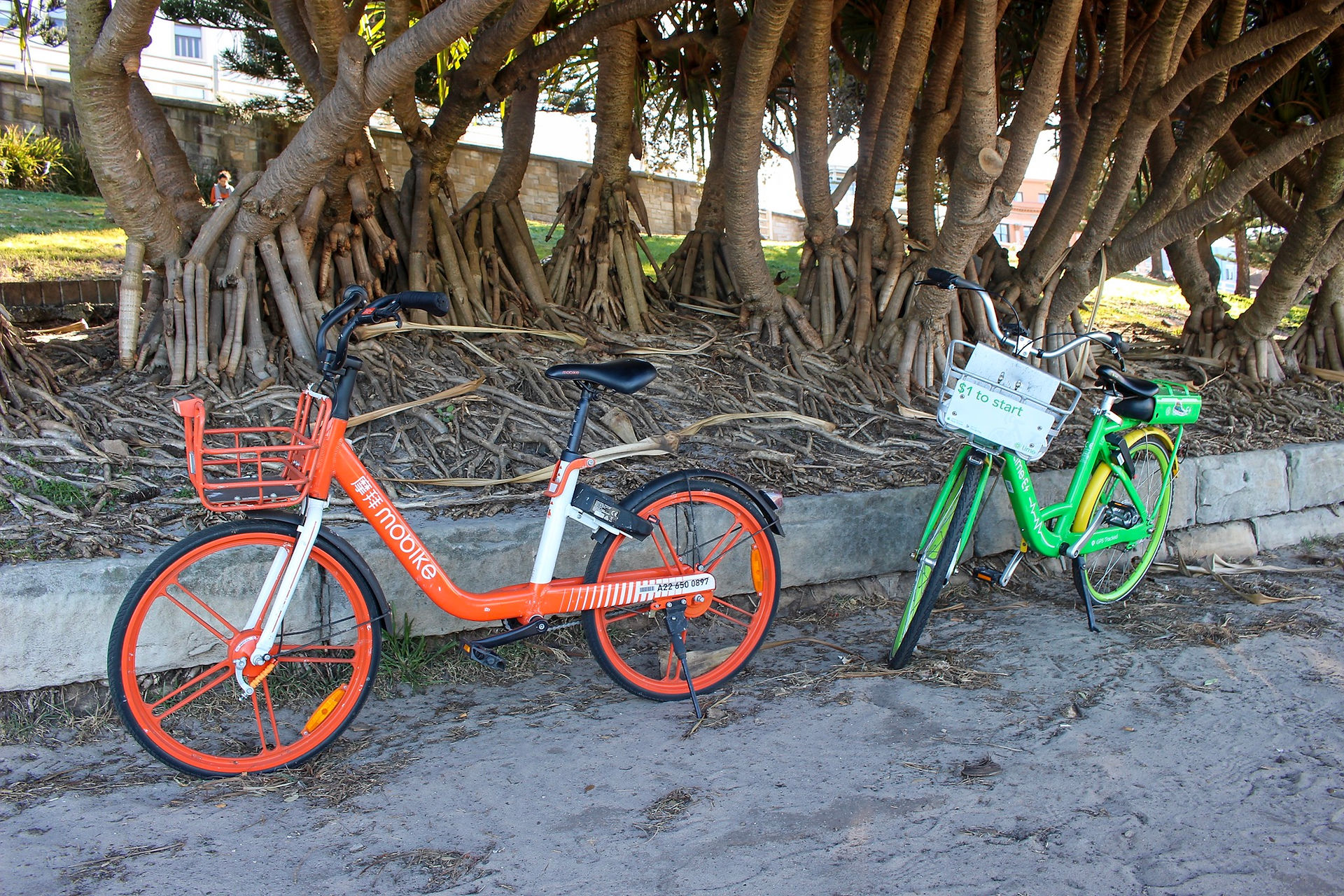 City Bikes