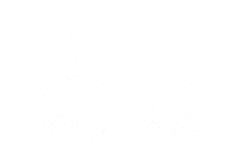 세인이엔지로고