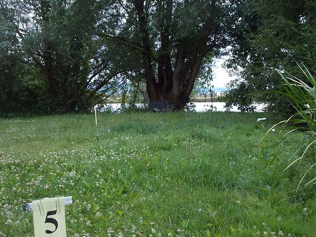 DSCN1914