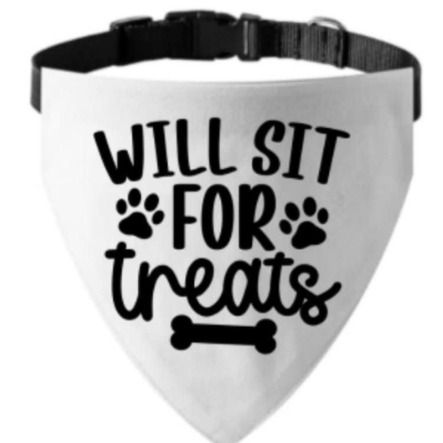 Bandana collar