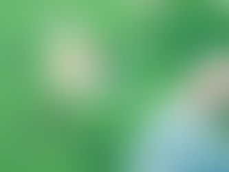 Axenoff Jewellery / Russian artist's New Collection "Vertograd".