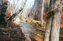 12646933_1263246583692172_7435630720314655146_o_edited