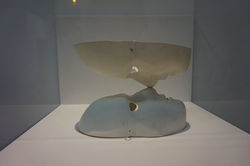 12274703_1218195181530646_4275654719675146546_n