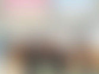 La cohésion comme “seconde lecture” d’une formation