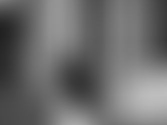 Long Island Wedding Photographer