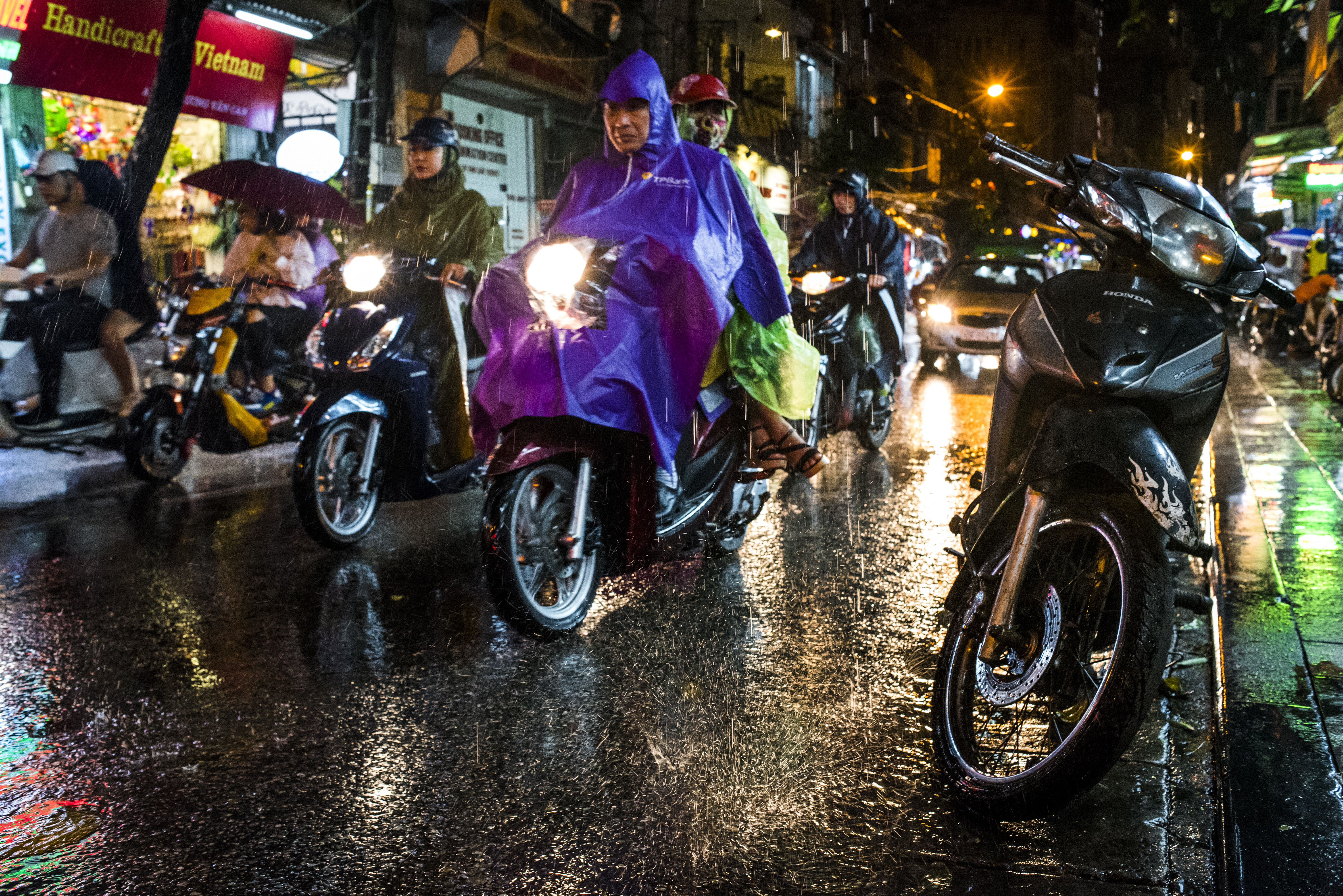 _DSC0519