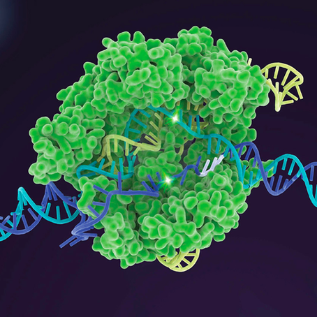 The Treatment of Our Age: CRISPR