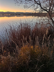 IMG_6642.jpeg