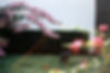 F1010002.JPG