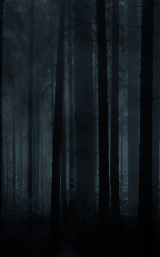 horror-forest-background-for-photoshop-c