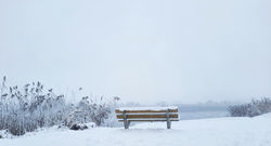 20260107_093235_edited