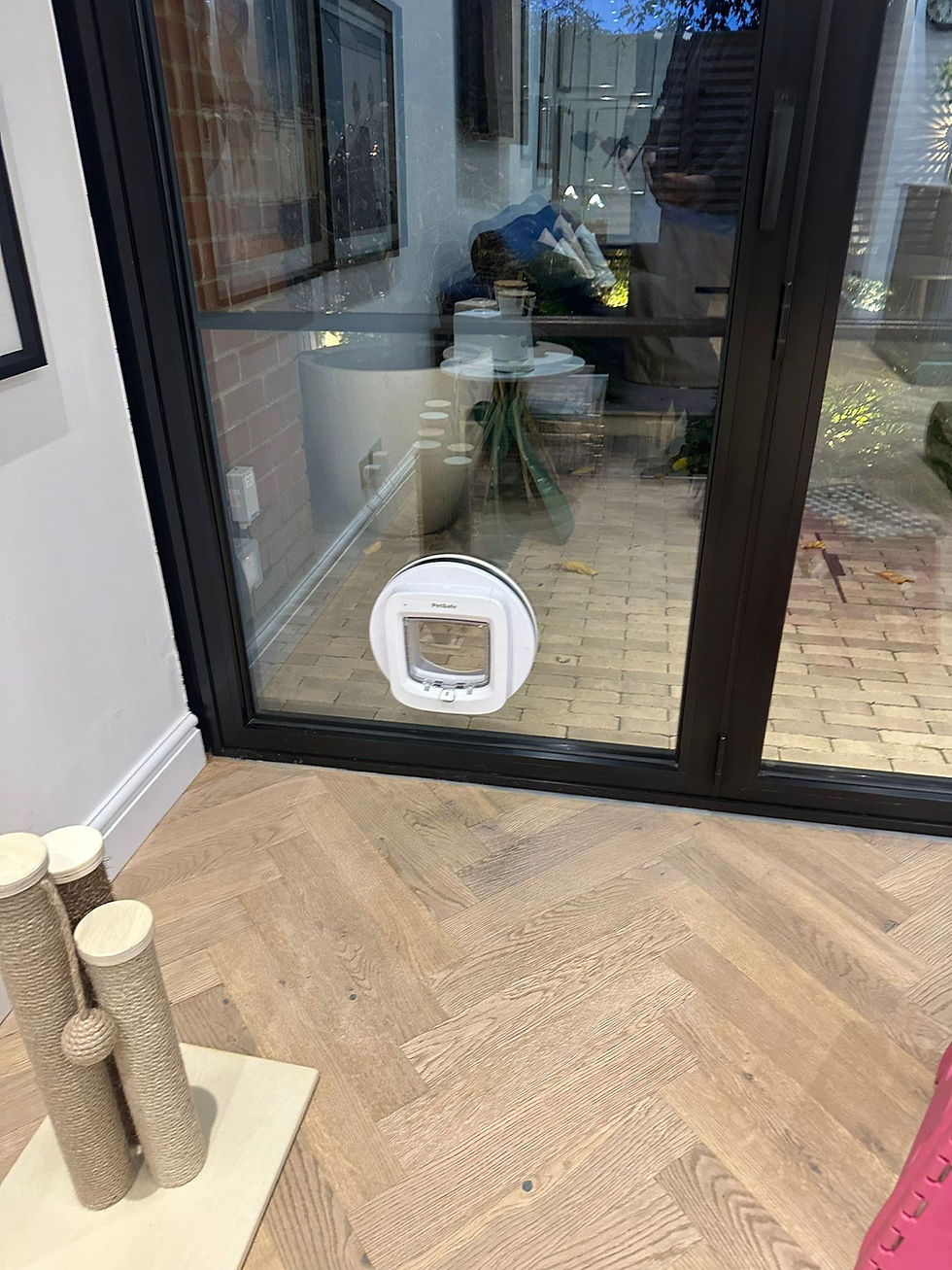 Cat Flap Into Glass Doors
