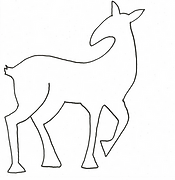 Shape of animal