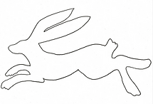 shape of hare