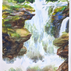 Tina Schmidt, original watercolor painting, watercolor