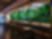 Green Wall