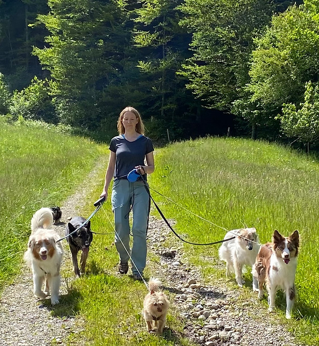 Coach Maja Bertschi mit sechs Hunden