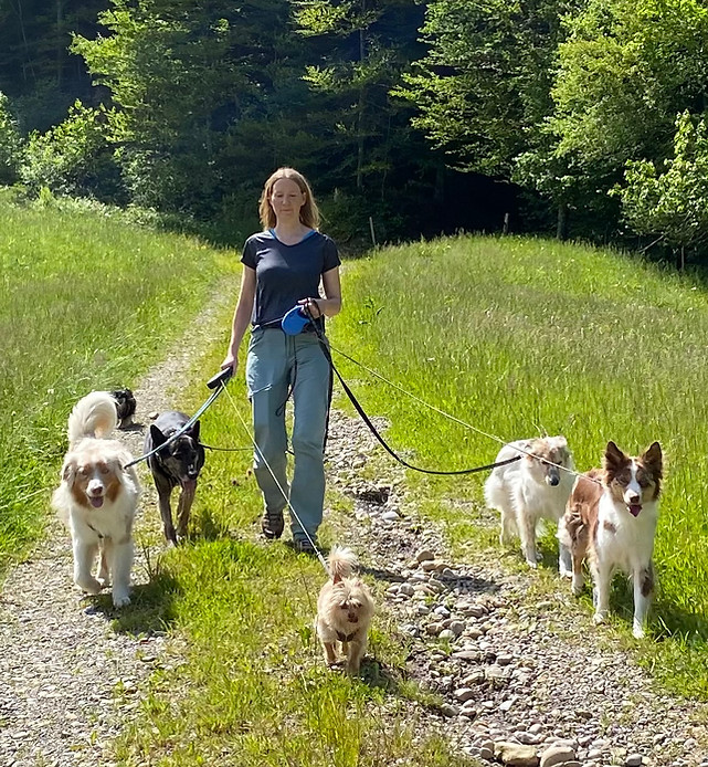 Coach Maja Bertschi mit sechs Hunden