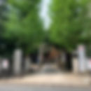 IMG_4809.jpeg