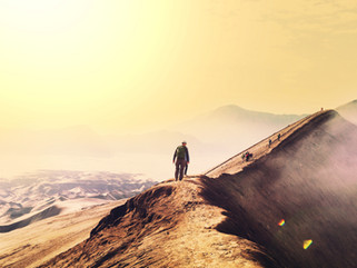 WHAT ISOLATION TEACHES US