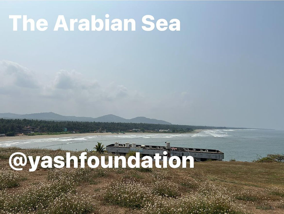 The Arabian Sea