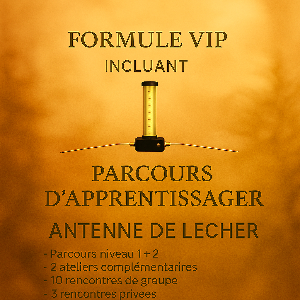 Forfait spécial VIP (tout inclus)
